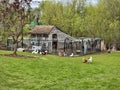 Rural saltbox-roofed fenced house with backyard chicken