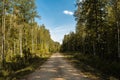 Rural sandy road in the autumn forest. The trees on the roadside are illuminated by bright sunlight. The shady side of the forest