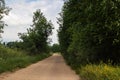 Rural sandy road among field and forest