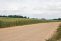 Rural sandy road among field with grain