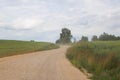 Rural sandy road among field with grain