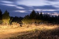 Rural sandy road lit by the headlights of a car. Night autumn scene Royalty Free Stock Photo