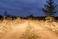 Rural sandy road lit by the headlights of a car. Night autumn scene Royalty Free Stock Photo