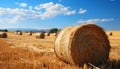 Rural scene agriculture, nature, farm, summer, meadow, wheat, grass generated by AI Royalty Free Stock Photo