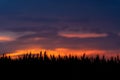 Rural scene of barkley in backlight sunset colorful light. Tranquil scene of africultural nature