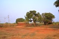 Rural scene in central india Royalty Free Stock Photo