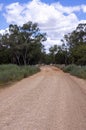 Rural scene of dirt road and gumtrees, NSW, Australia Royalty Free Stock Photo