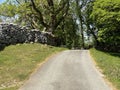 Low Sleights Road, with old trees, and stone walls in, Ingleton, Yorkshire, UK Royalty Free Stock Photo