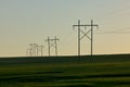 Rural scene with electricity pylons at sunset
