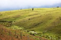 Rural Scene after recent rainfall Royalty Free Stock Photo