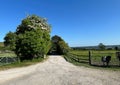 Rural scene with, fields, and horses, on a sunny day in, Wilsden, Yorkshire, UK Royalty Free Stock Photo