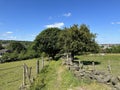 Rural scene, with a grass track, between two fields in, Thornton, Yorkshire, UK Royalty Free Stock Photo