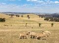 Cowra - New South Wales Australia