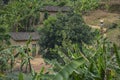 Rural scene in Karongi, Kibuye, Rwanda.