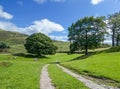 A rural scene looking along a track near Staveley, Cumbria