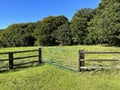 Rural scene, with old trees, a farmgate, and plants in, Calverley, Leeds, UK