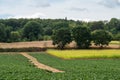 Rural scene over the green agriculture fields around the village Lubbeek Royalty Free Stock Photo