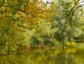 Rural scene with a pond and autumnal colorful trees .