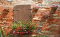 Pot of geraniums flowers and wall with red bricks