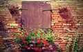 Rural scene with pot of geraniums flowers and wall with red bric