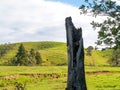 Rural scene with silhouette old tree stump in foreground Royalty Free Stock Photo