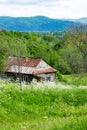 Log cabin in countryside.