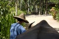 Rural scene in Thailand with a water buffalo