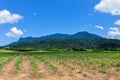 Rural scenery, Atherton Tablelands, Australia Royalty Free Stock Photo