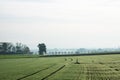 rural scenery in bavaria: autumn green fields, foggy morning