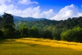 Rural scenery with golden paddy rice farm,Mountain peak range landscape.Green mountain range view. Mountain peak blue sky white Royalty Free Stock Photo