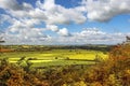 Rural scenic view of green fields, Salisbury, England