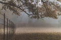 Autumn scenery with rustic fence and oak branches