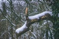 Rural setting during Storm Emma, also known as the Beast from the East, which hit Ireland Royalty Free Stock Photo