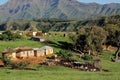 Rural settlement and livestock