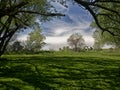 Rural shade