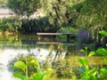 Rural small pond