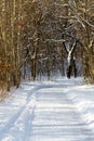 Rural snowy country road through winter woodland Royalty Free Stock Photo