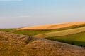 A rural South Downs landscape with evening light Royalty Free Stock Photo