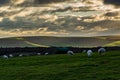 A Rural South Downs View, with Grazing Sheep Royalty Free Stock Photo