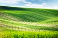 Rural spring landscape with colored striped hills with trees Royalty Free Stock Photo