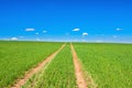 Rural spring landscape with field road and blue sky Royalty Free Stock Photo
