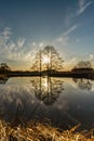 Rural spring landscape with lonely tree against blue sky at sunset.Peaceful and suitable atmosphere for meditation.Lone tree Royalty Free Stock Photo