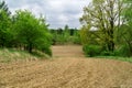 Rural spring landscape in Poland.
