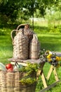 Rural still life with basket of vegetables Royalty Free Stock Photo