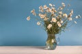 Rural still-life - bouquet of chamomile Matricaria recutita in a glass jug, blooming spring flowers