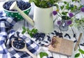 Rural still life with honeysuckle berry, notebook and vintage watering can Royalty Free Stock Photo