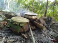 Rural style cooking above the fire Traditional style of cooking before Gas was unknown to tribals Best way to cook tasty food