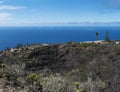 Rural subtropical landscape with palm trees, farm house and sea horizon. Blue sky background, La Palma, Canary Islands