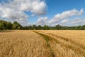 A view over Suffolk farmland on a sunny summer\'s day Royalty Free Stock Photo