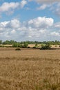 A rural Suffolk farm landscape on a sunny July day Royalty Free Stock Photo